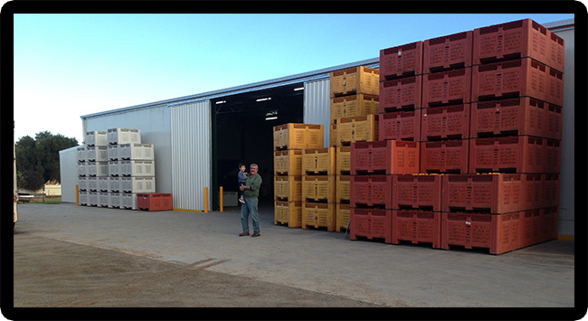 PJN Sheds: Fred Bianchini, Griffith NSW